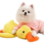 Juguete Mascota Pato Con Sonido Chifle Resistente Gato Perro