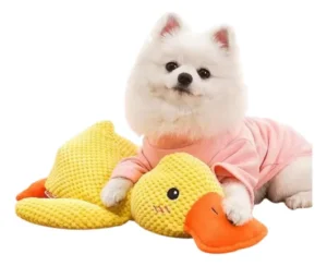 Juguete Mascota Pato Con Sonido Chifle Resistente Gato Perro
